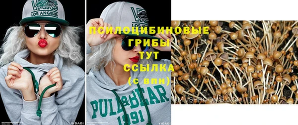 герыч Алексин