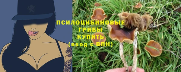 герыч Алексин